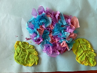 高等部６HR　M.S　あじさい　