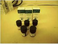 エッセンシャルオイルセット