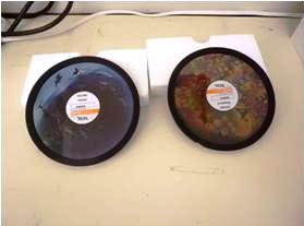 ６インチ映像円盤