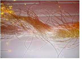 サイド・グロウ